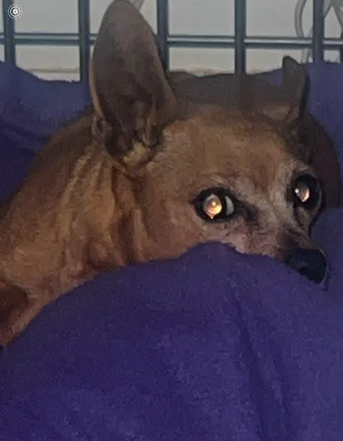 Lily & Scarlett thumbnail 2