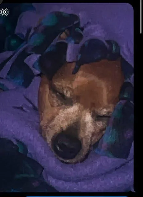 Lily & Scarlett thumbnail 3