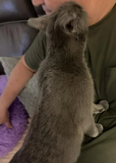 Minnie