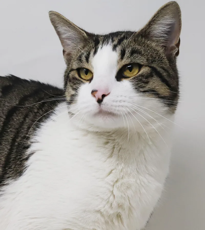 Denny Is A Dorky thumbnail 4