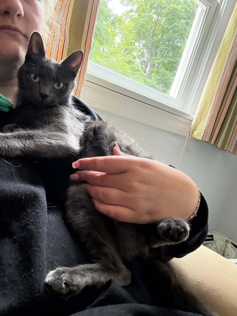Taatee  SWEET CUDDLY thumbnail 4