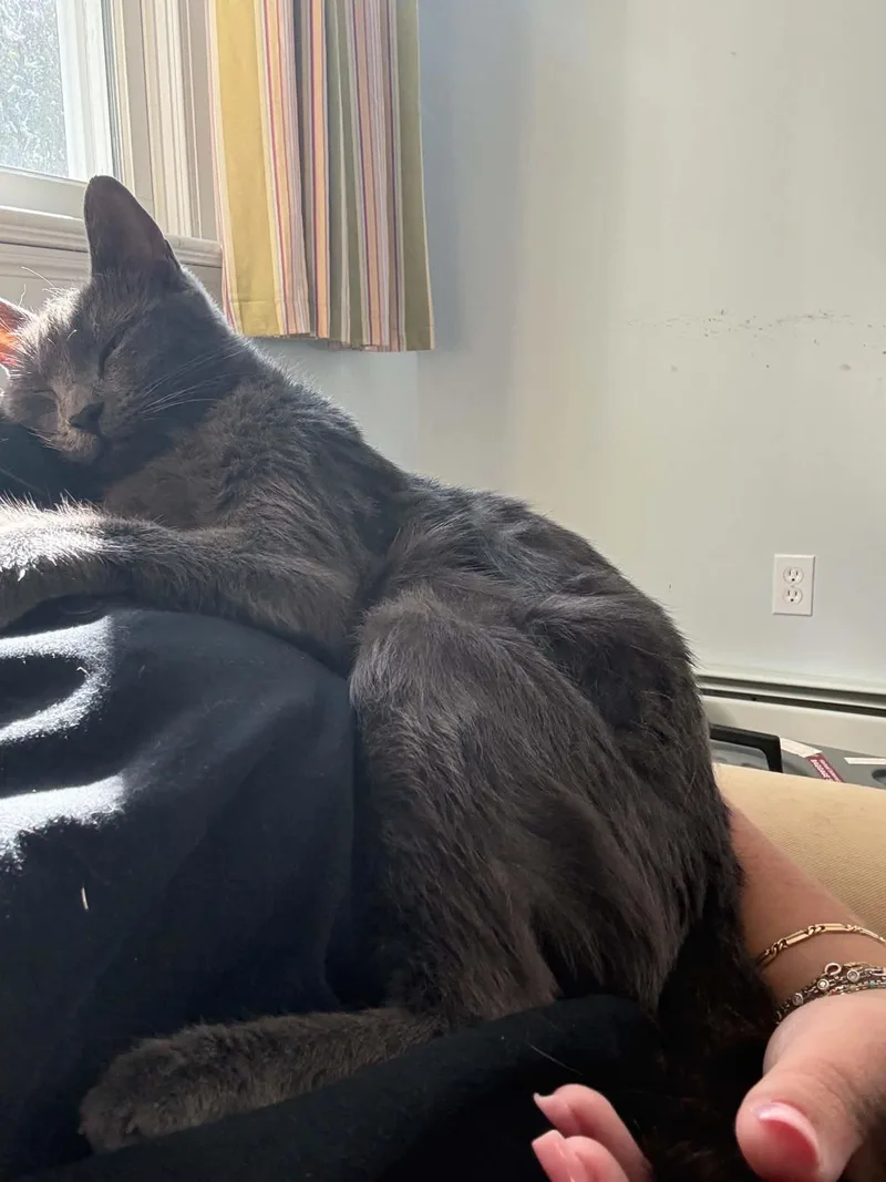 Taatee  SWEET CUDDLY thumbnail 5