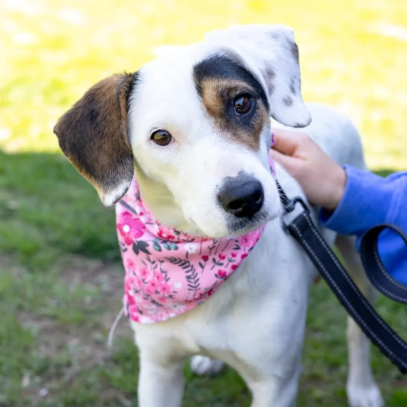 Suzieavail thumbnail 2