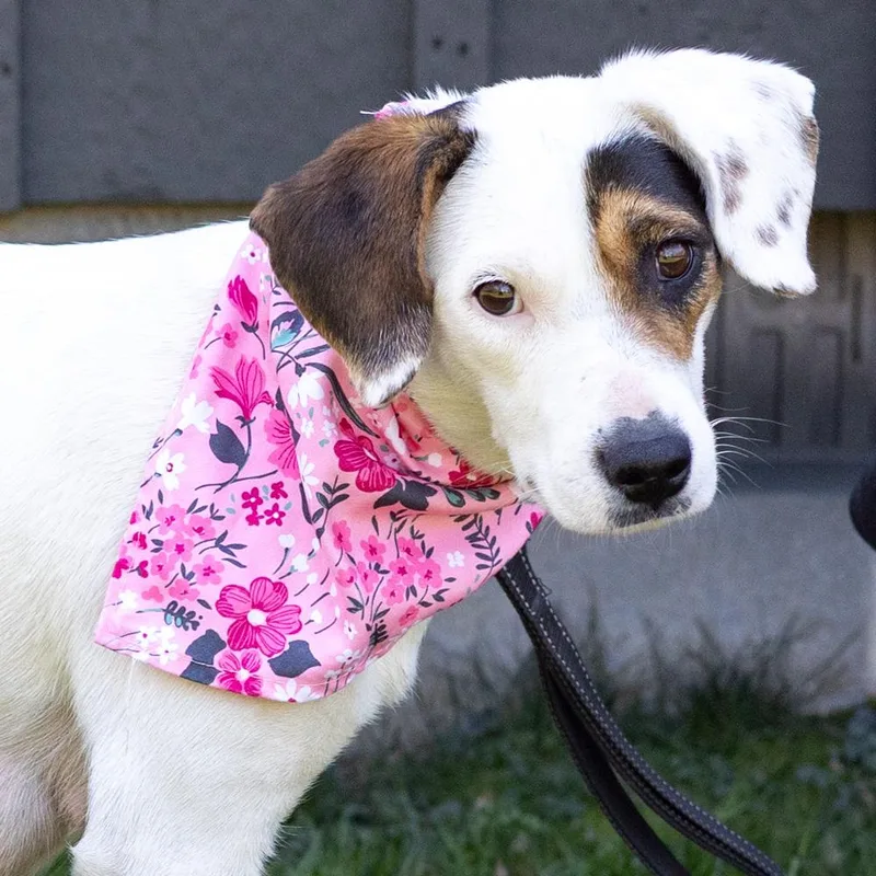 Suzieavail thumbnail 3