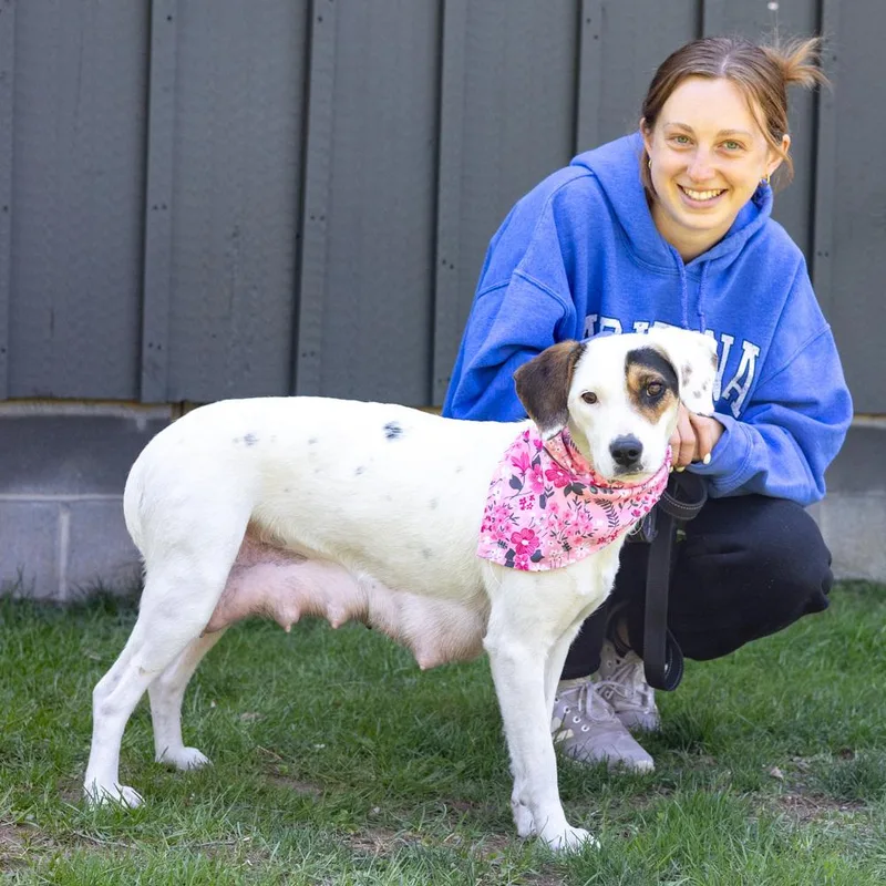 Suzieavail thumbnail 4