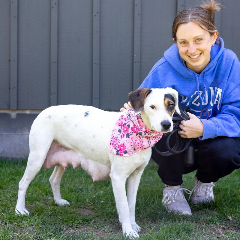 Suzieavail thumbnail 6