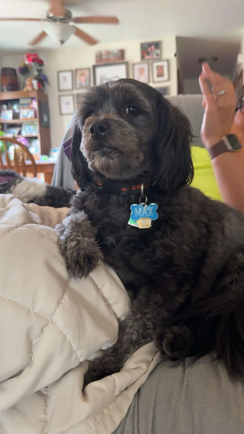 Max