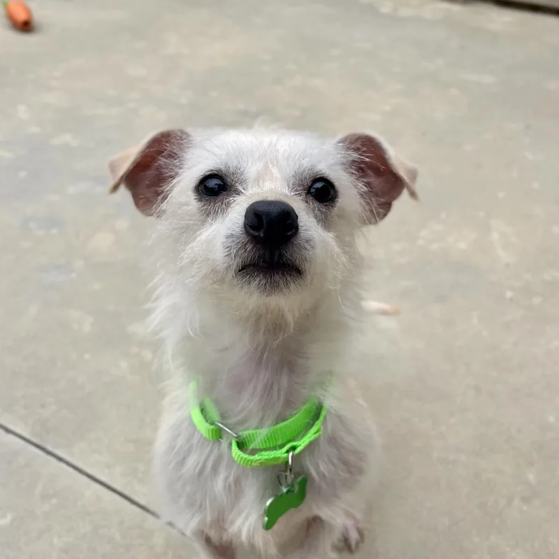 Sam