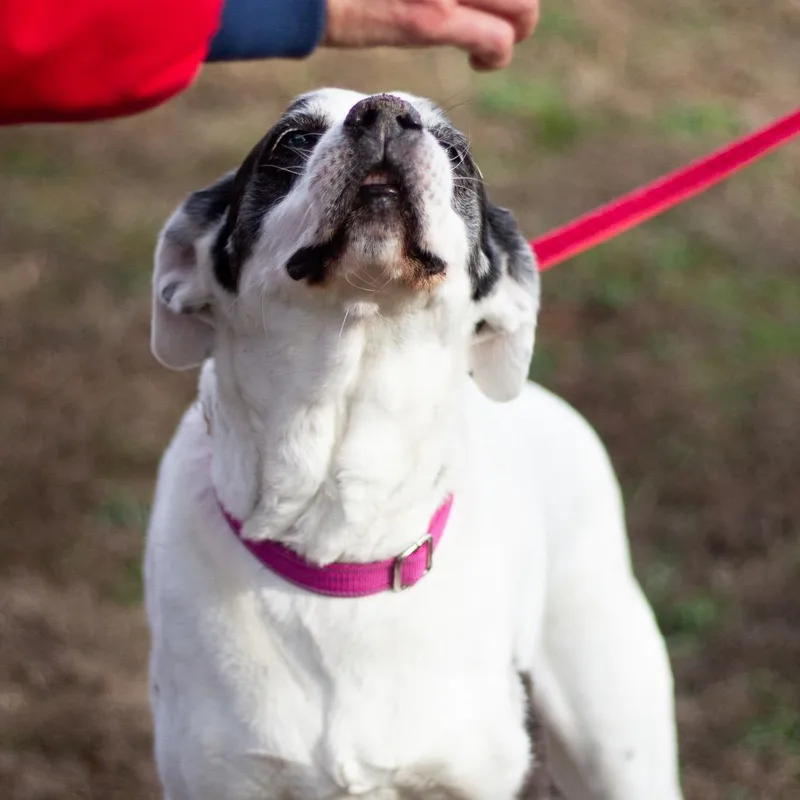 Jazzy Lee thumbnail 2