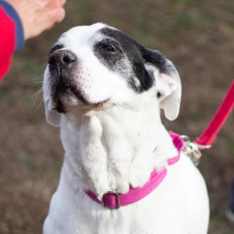 Jazzy Lee thumbnail 4