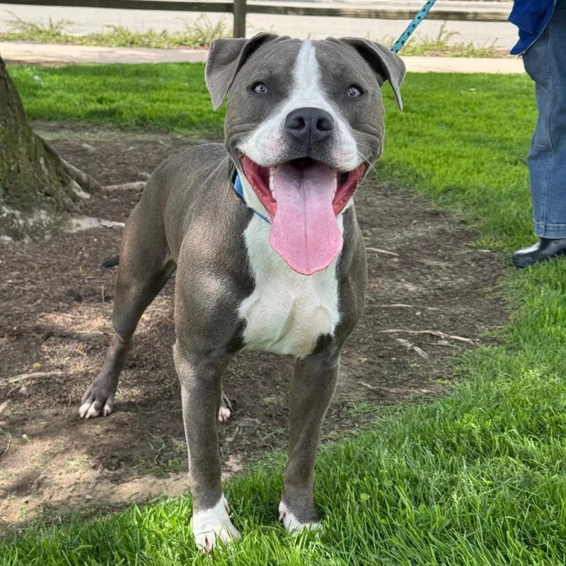 Arthur thumbnail 6