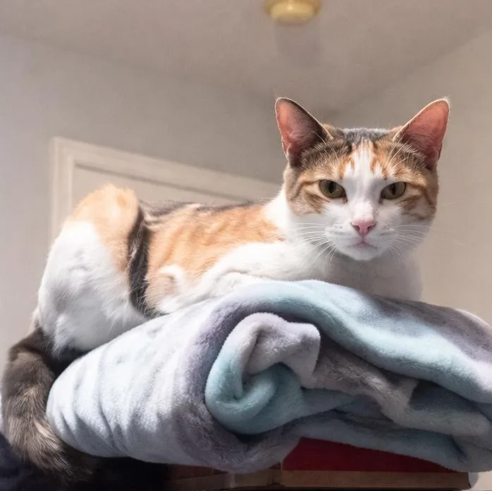 Honeybun thumbnail 6