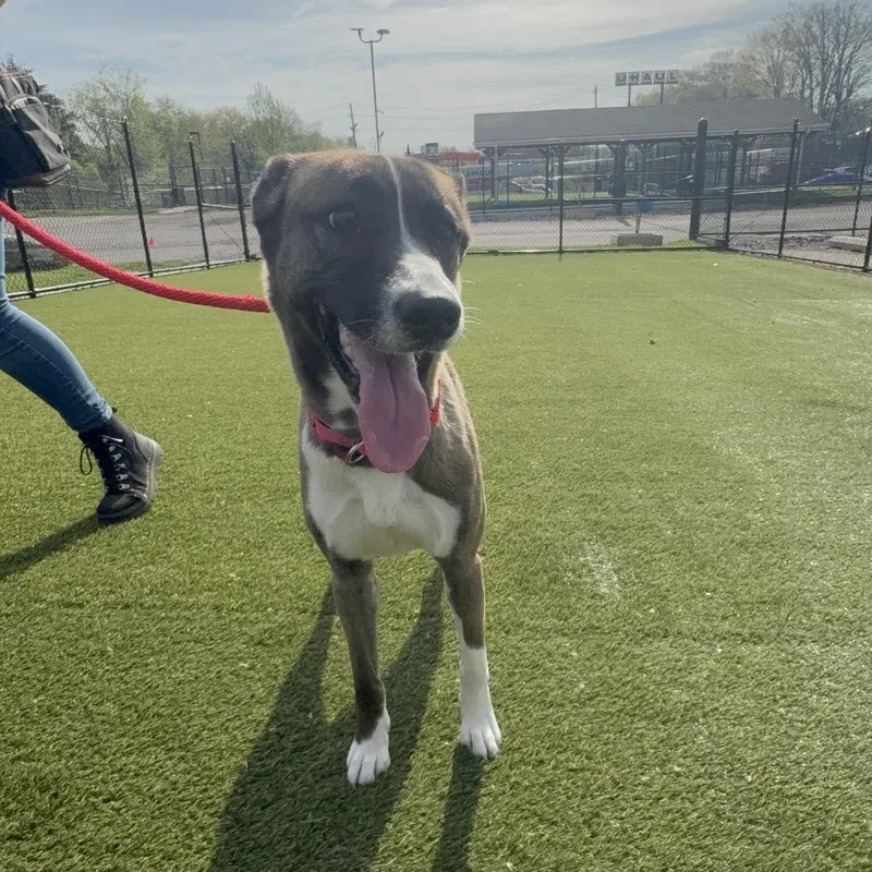 Nymphadora thumbnail 3