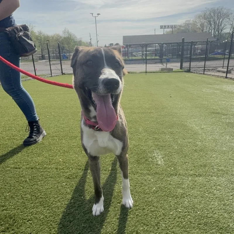 Nymphadora thumbnail 4