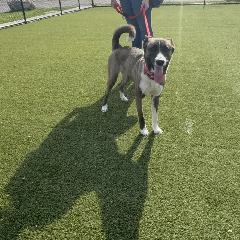 Nymphadora thumbnail 5