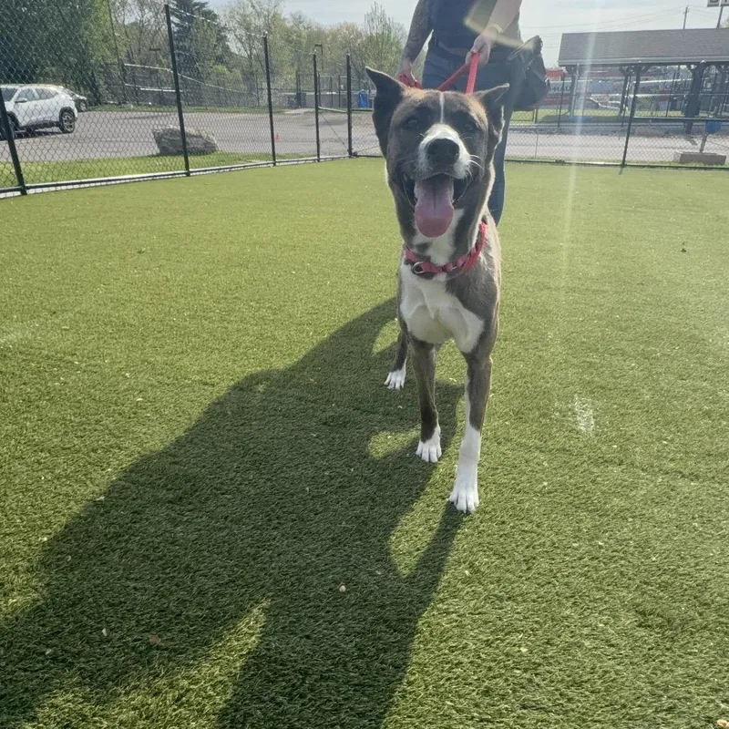 Nymphadora thumbnail 6