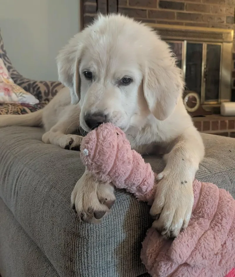 Norma Jean thumbnail 5