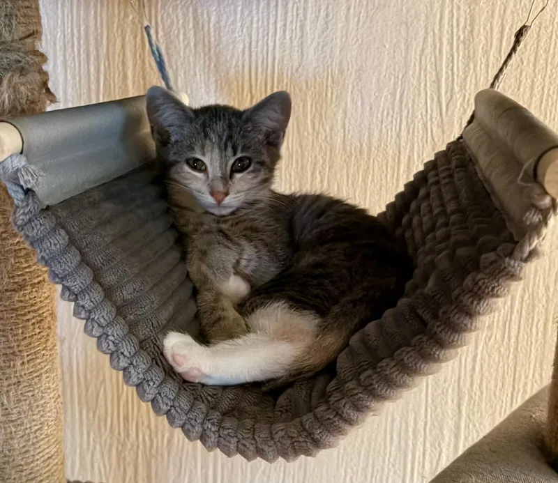 Chloe