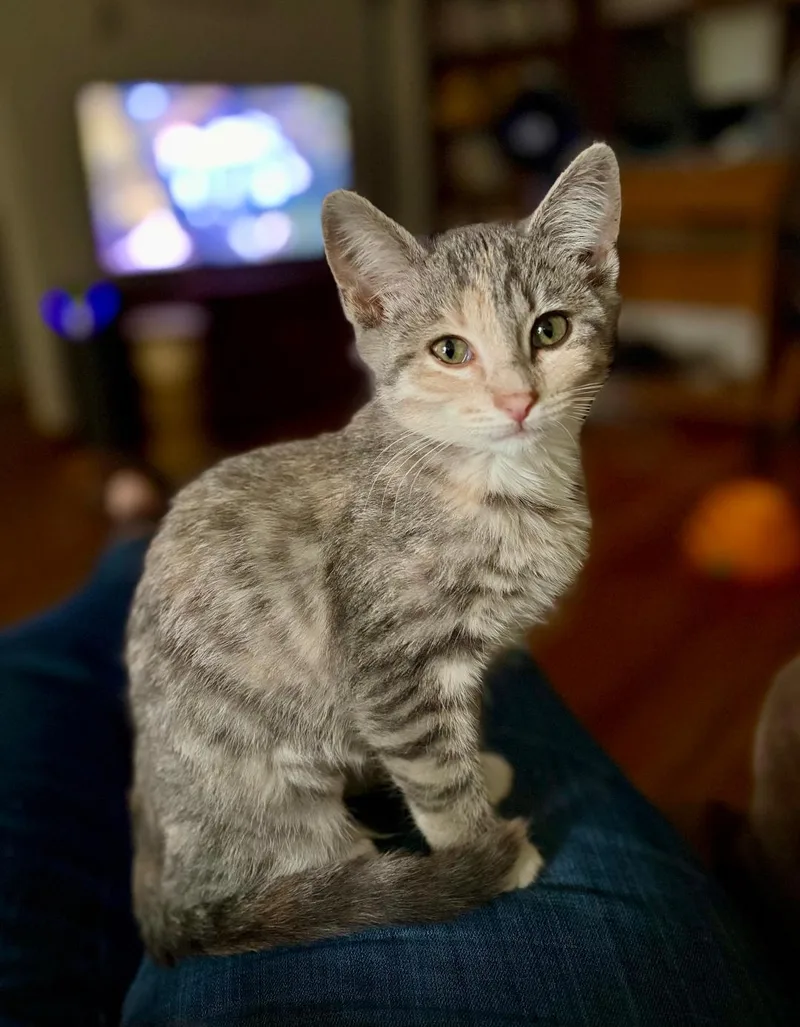 Chloe thumbnail 2