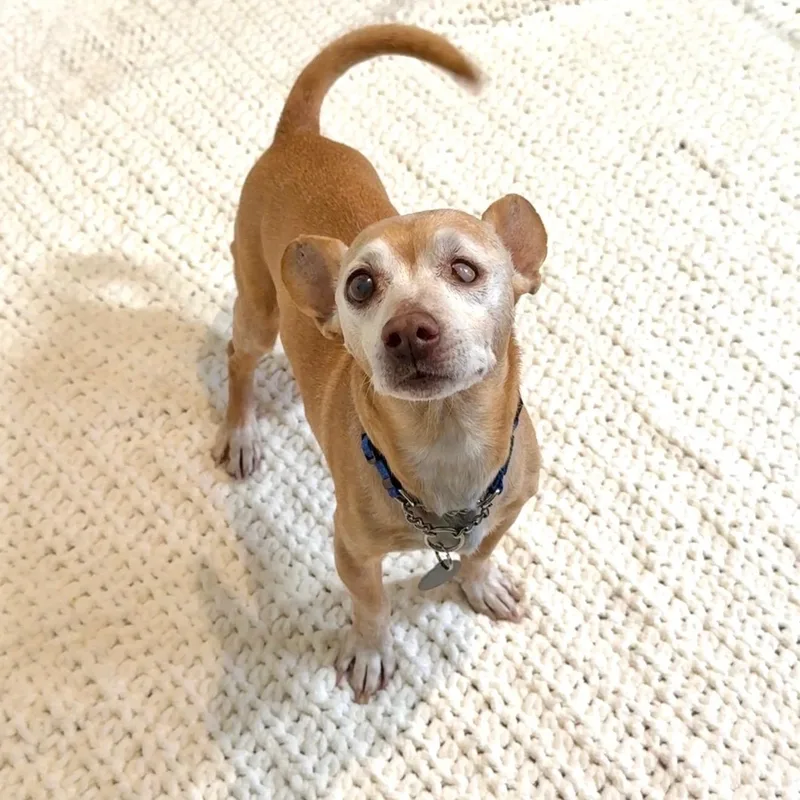 Ernie thumbnail 3