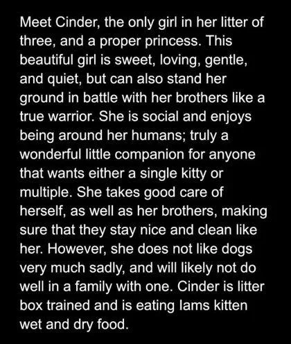 Cinder thumbnail 2