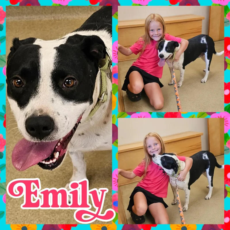 Emily thumbnail 3