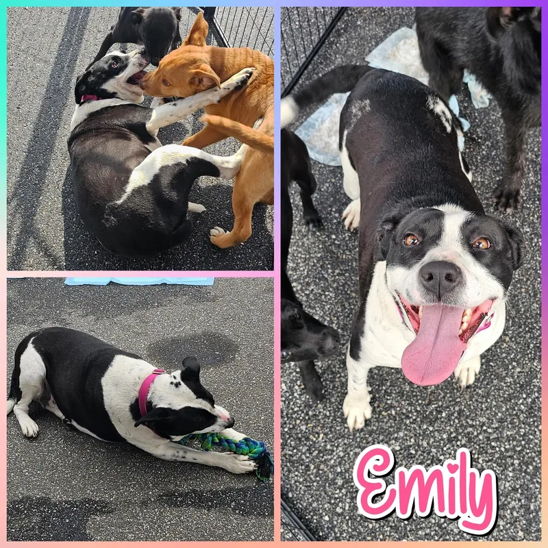 Emily thumbnail 5