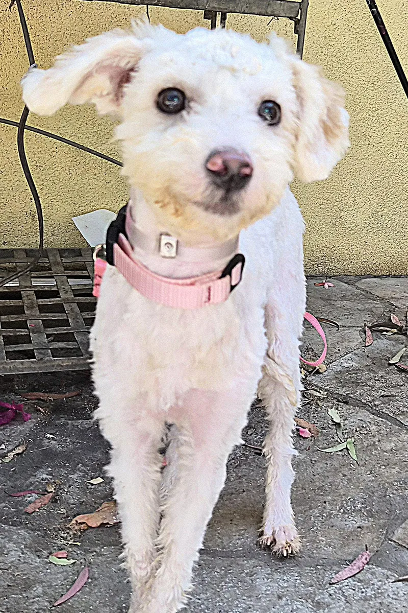 Maria And Elsa thumbnail 3