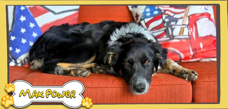 Max Power thumbnail 3