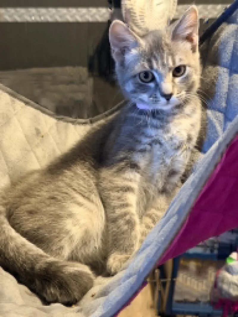 Leeloo Ewadar thumbnail 3