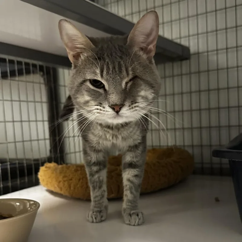 Honeybun thumbnail 2