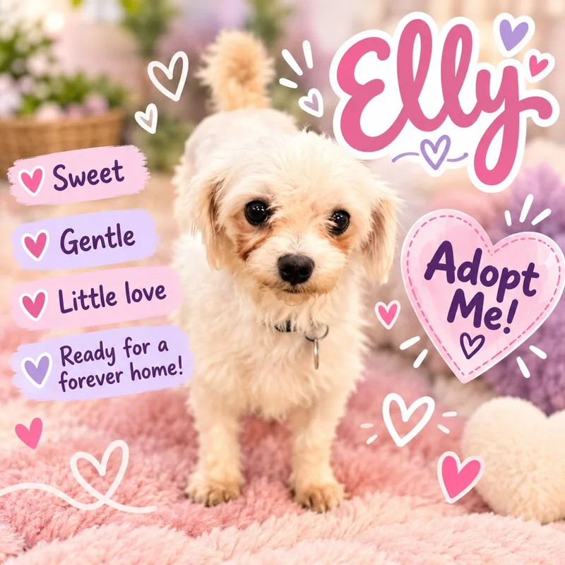 Elly thumbnail 2