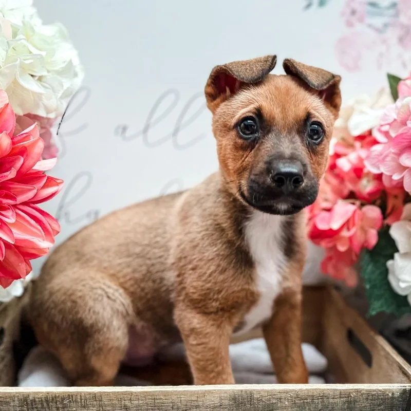 Charming thumbnail 2