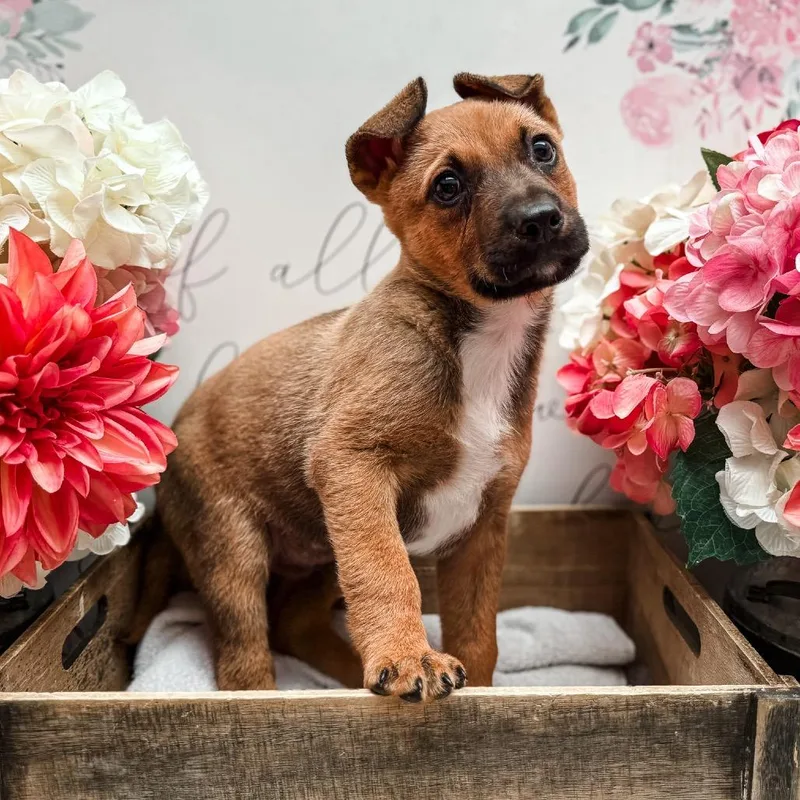 Charming thumbnail 3