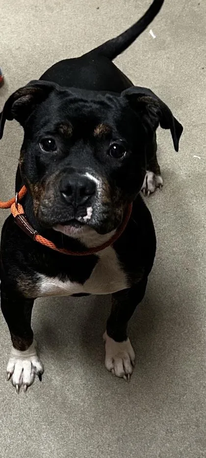 Princess thumbnail 2