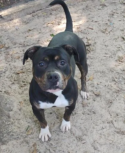 Princess thumbnail 3