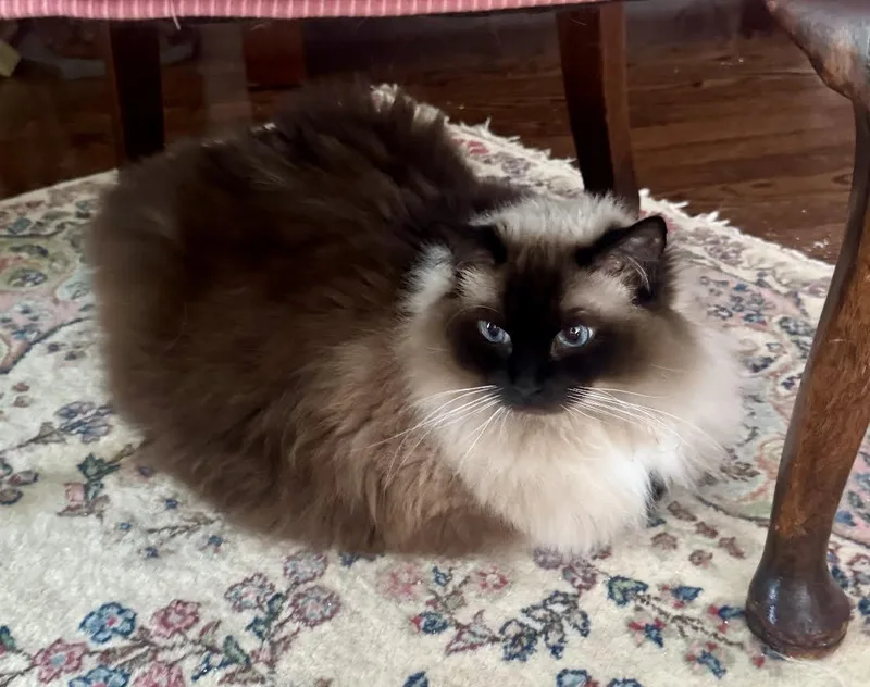 Winnie& Percy thumbnail 5