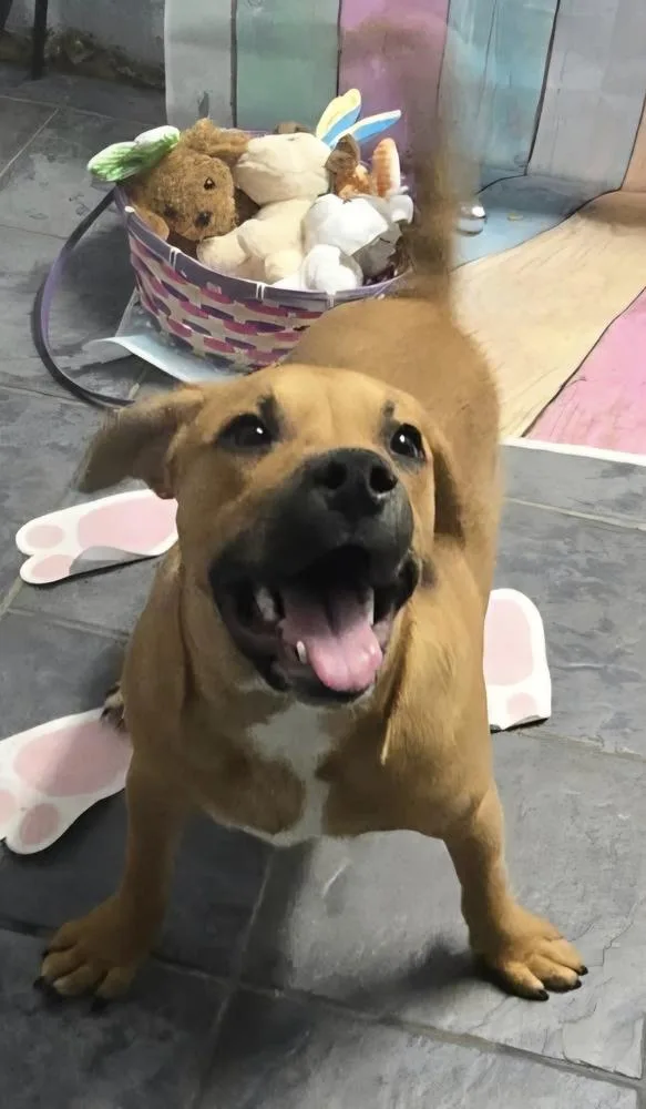 Marion Bullgles : Finn thumbnail 2