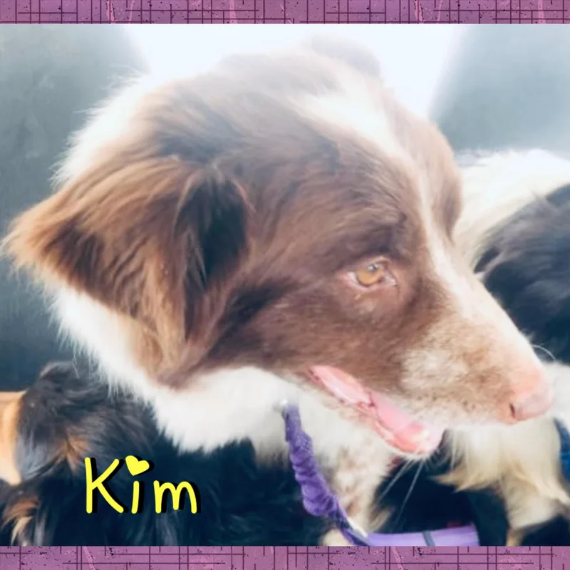 Kim thumbnail 2
