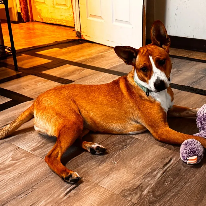 Susie thumbnail 5