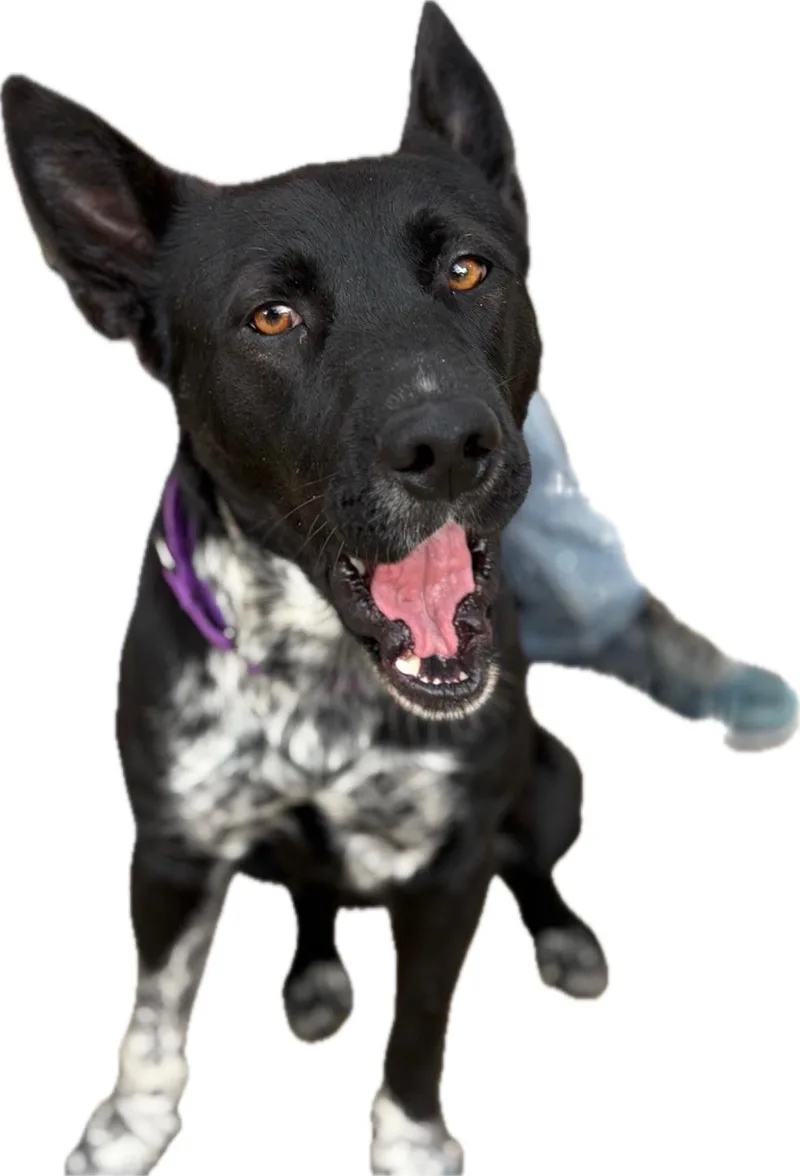 Tiny  The Biggie thumbnail 6