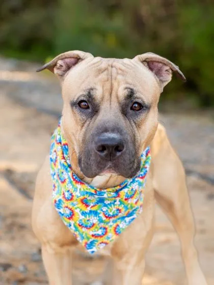 Cup Noodles thumbnail 2