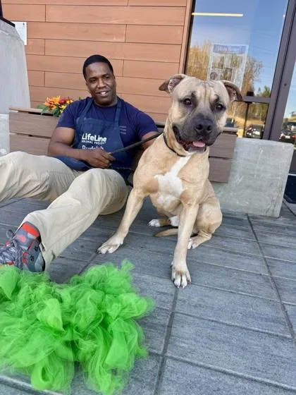 Cup Noodles thumbnail 3