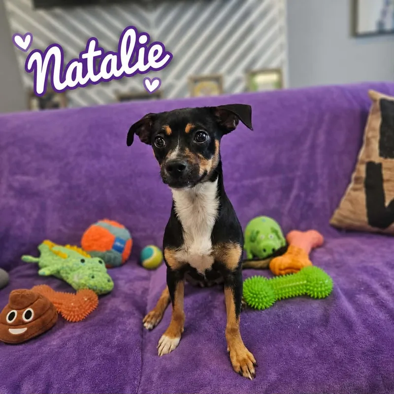 Natalie thumbnail 5