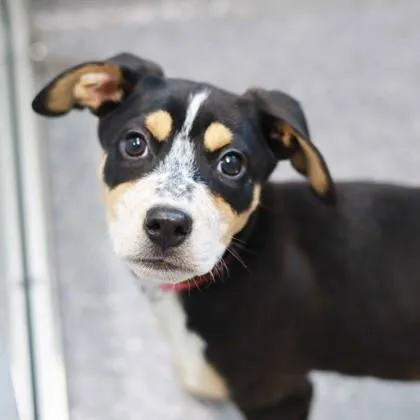 Lady Luck thumbnail 2