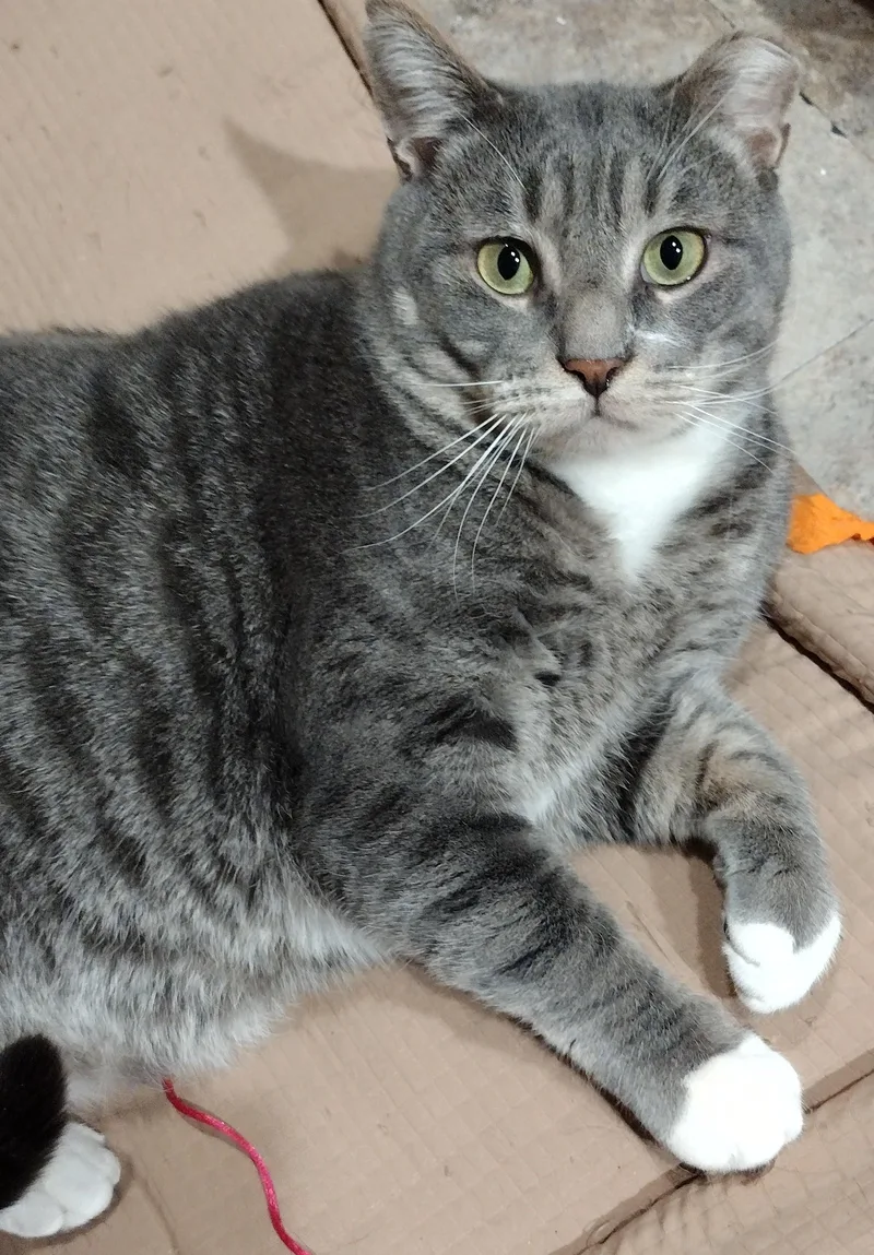 Magnus And Poppy thumbnail 4