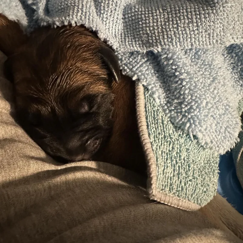 Daisy Duke thumbnail 6