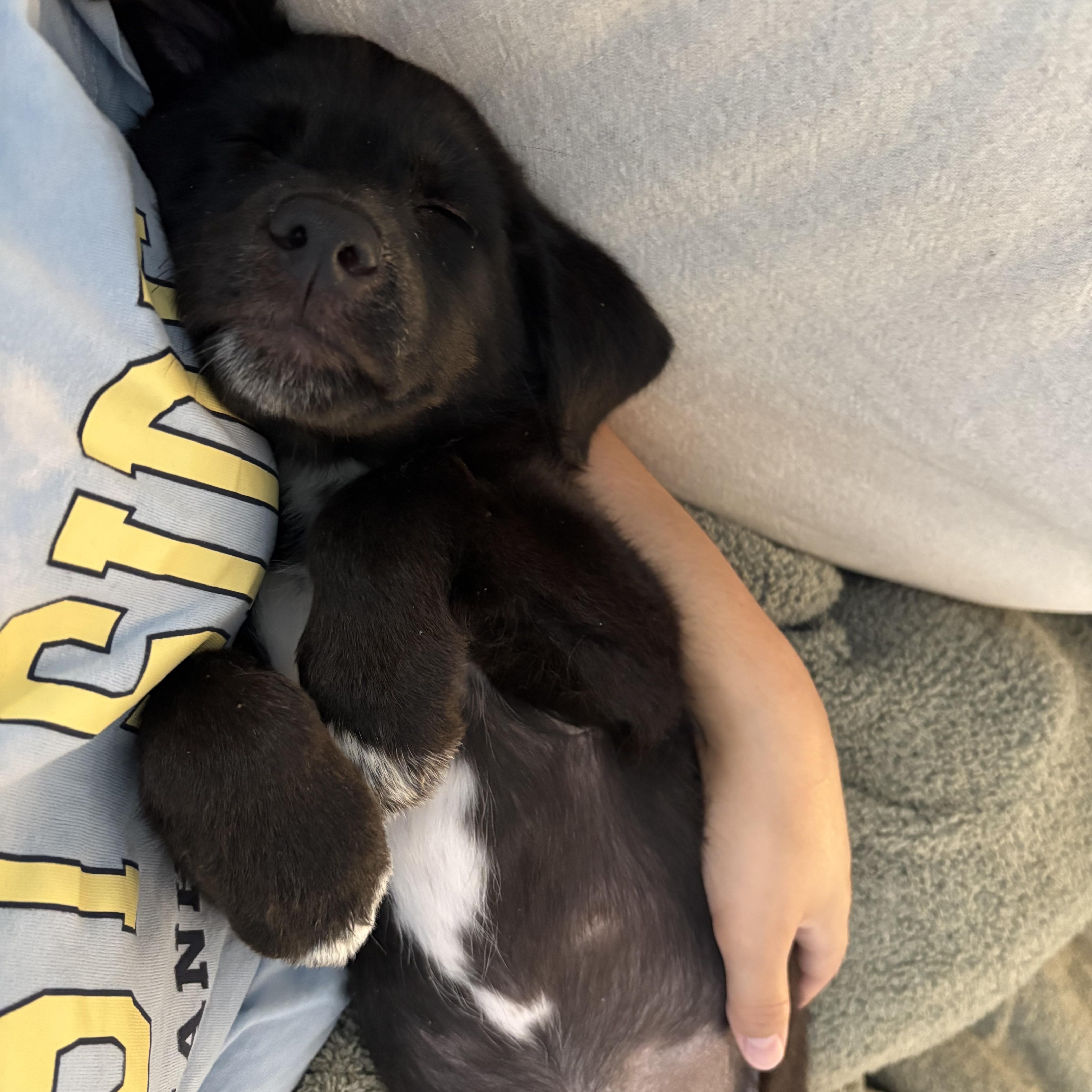 Winona