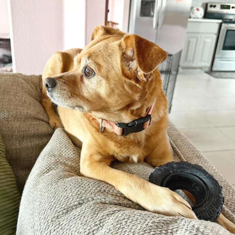 Frida Pawlo thumbnail 2