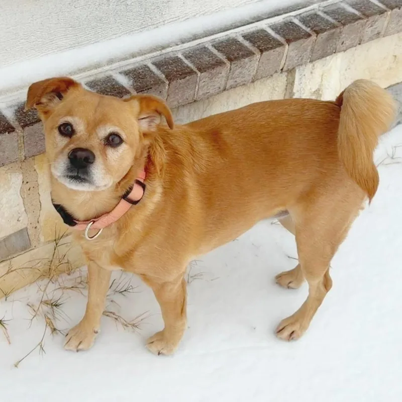 Frida Pawlo thumbnail 3